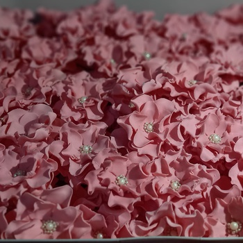 Des fleurs à la pate à sucre ورود بعجينة السكر لتزين الحلويات