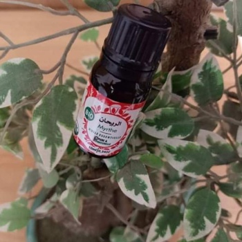Huile de myrth, huile essentielle pure et naturelle fait par Les Huiles de l'Est  un flacon de 10ml زيت الريحان الأساسي's image